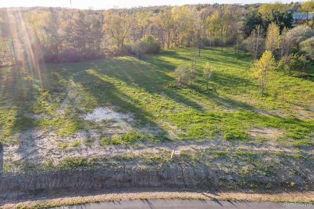 4030 Metamora Rdg, Metamora, MI 48455 - view of grassy yard with a forest view