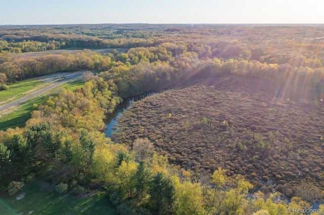 4030 Metamora Rdg, Metamora, MI 48455 - aerial overview of property's location with a forest