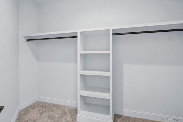 4030 Metamora Rdg, Metamora, MI 48455 - spacious closet featuring carpet