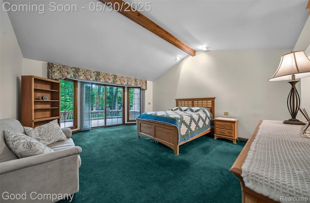 38836 Westchester Ln, Northville, MI 48167 - bedroom with access to exterior and carpet flooring