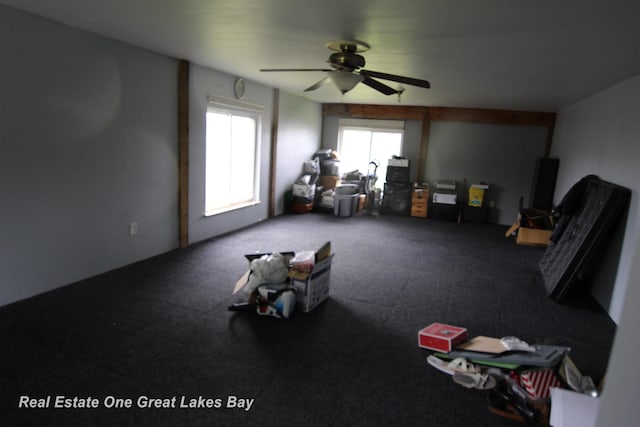 4141 Sagatoo Rd, Standish, MI 48658 - additional living space featuring ceiling fan
