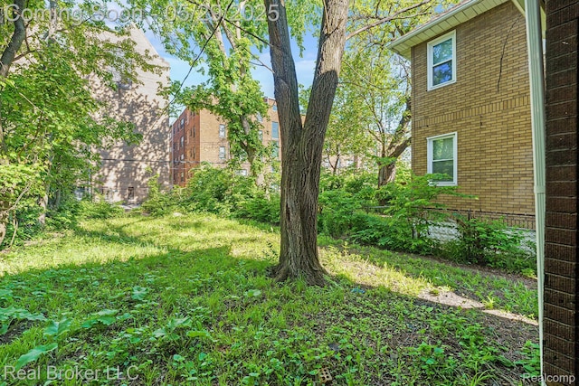 9419 Ravenswood St, Detroit, MI 48204 - view of yard