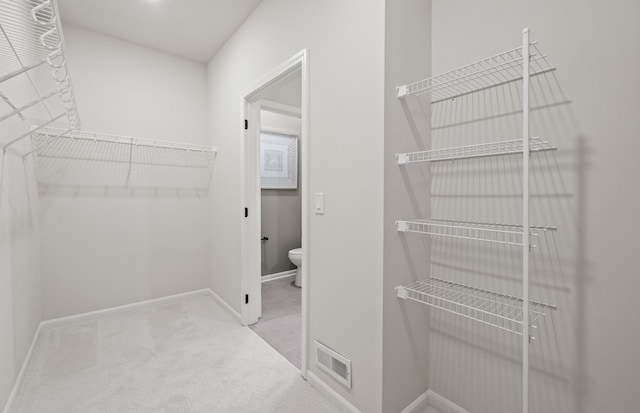 50248 Cromwell St, Canton, MI 48188 - walk in closet with carpet