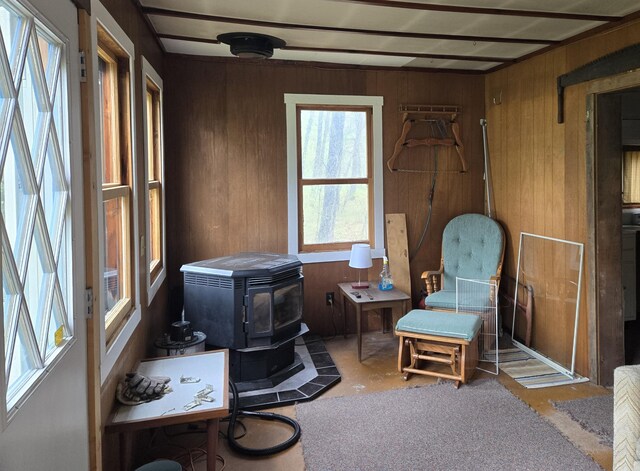 5282 N May Rd, Luther, MI 49656 - sitting room featuring a wood stove and wooden walls