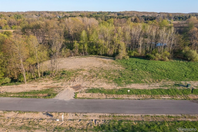 4075 Metamora Rdg, Metamora, MI 48455 - bird's eye view of a forest