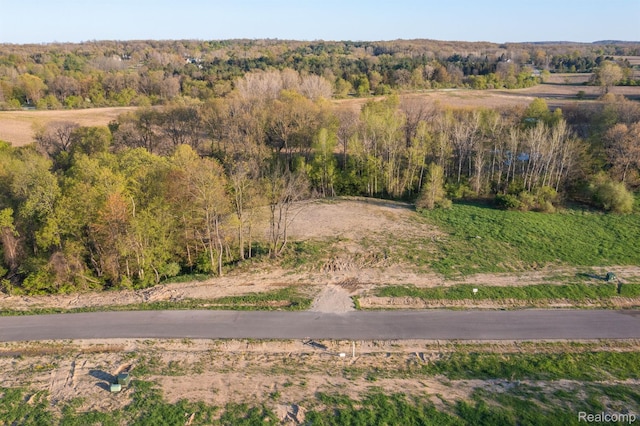 4075 Metamora Rdg, Metamora, MI 48455 - aerial view of property's location