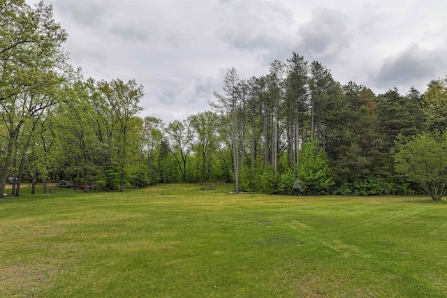 12310 Seymour Rd, Montrose, MI 48457 - view of grassy yard with a view of trees