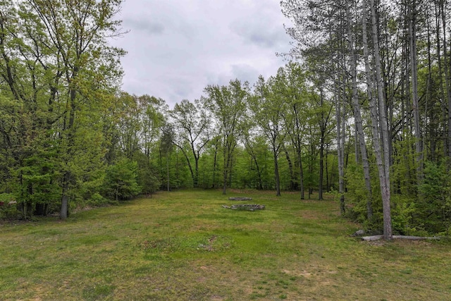 12310 Seymour Rd, Montrose, MI 48457 - view of green lawn featuring a wooded view