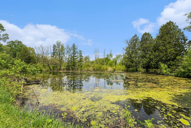 10827 N 12th St, Plainwell, MI 49080 - water view with a forest