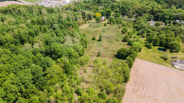 10827 N 12th St, Plainwell, MI 49080 - aerial overview of property's location with a forest