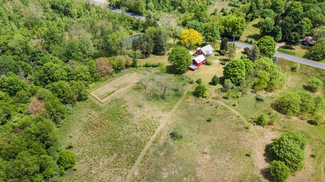 10827 N 12th St, Plainwell, MI 49080 - bird's eye view