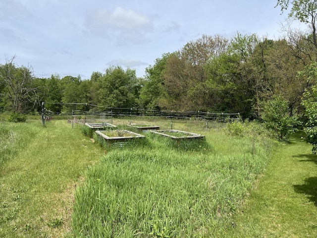 10827 N 12th St, Plainwell, MI 49080 - view of yard featuring a vegetable garden and a forest view