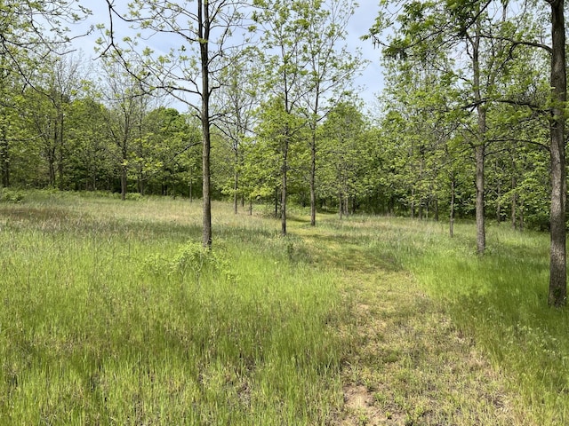10827 N 12th St, Plainwell, MI 49080 - view of tree filled area