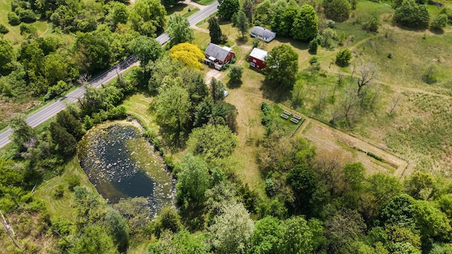 10827 N 12th St, Plainwell, MI 49080 - aerial overview of property's location with a large body of water and rural landscape