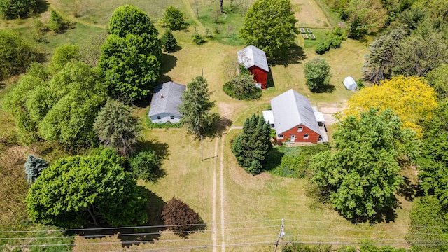 10827 N 12th St, Plainwell, MI 49080 - aerial view of property and surrounding area