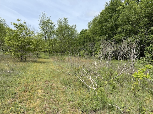 10827 N 12th St, Plainwell, MI 49080 - view of local wilderness