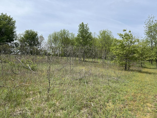 10827 N 12th St, Plainwell, MI 49080 - view of undeveloped land