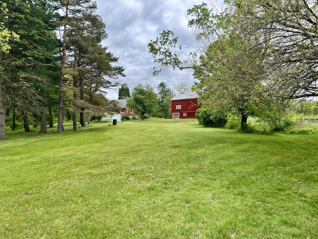 10827 N 12th St, Plainwell, MI 49080 - view of grassy yard featuring an outbuilding and a barn