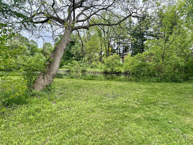 10827 N 12th St, Plainwell, MI 49080 - view of yard