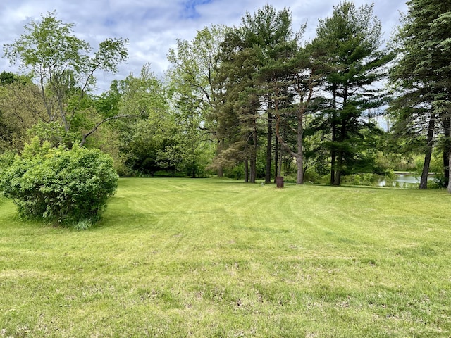 10827 N 12th St, Plainwell, MI 49080 - view of grassy yard featuring a water view