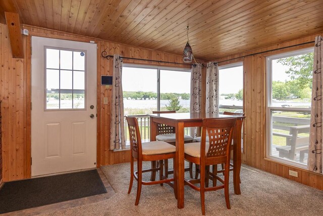 10303 Walnut Dr, Three Rivers, MI 49093 - dining room with carpet floors, healthy amount of natural light, wood ceiling, wood walls, and a water view