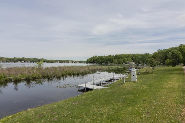 10303 Walnut Dr, Three Rivers, MI 49093 - dock area featuring a water view and a lawn
