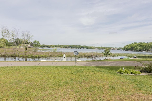 10303 Walnut Dr, Three Rivers, MI 49093 - water view