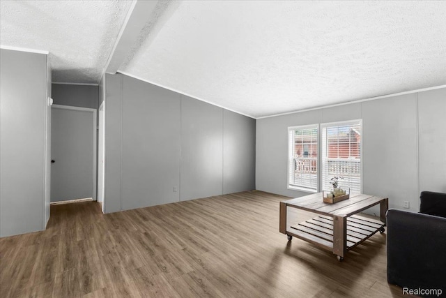 351 N Squirrel Rd, Auburn Hills, MI 48326 - living area featuring wood finished floors, a textured ceiling, and vaulted ceiling