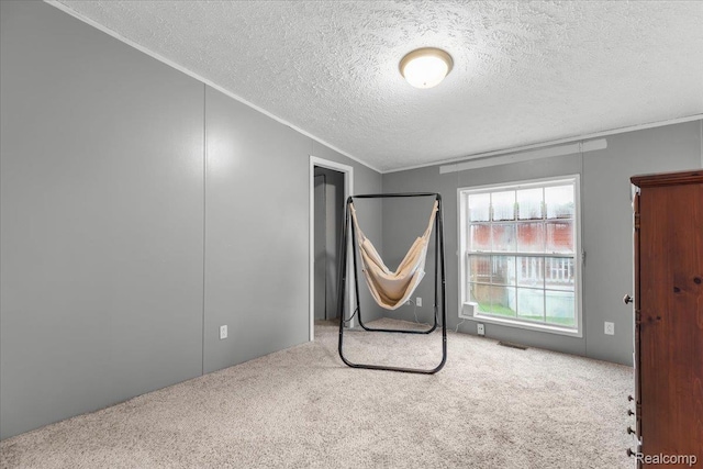 351 N Squirrel Rd, Auburn Hills, MI 48326 - unfurnished bedroom featuring carpet, a textured ceiling, and ornamental molding