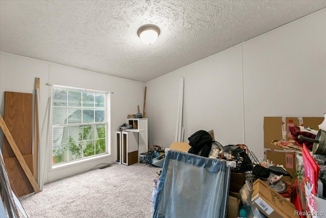 351 N Squirrel Rd, Auburn Hills, MI 48326 - misc room featuring carpet flooring and a textured ceiling