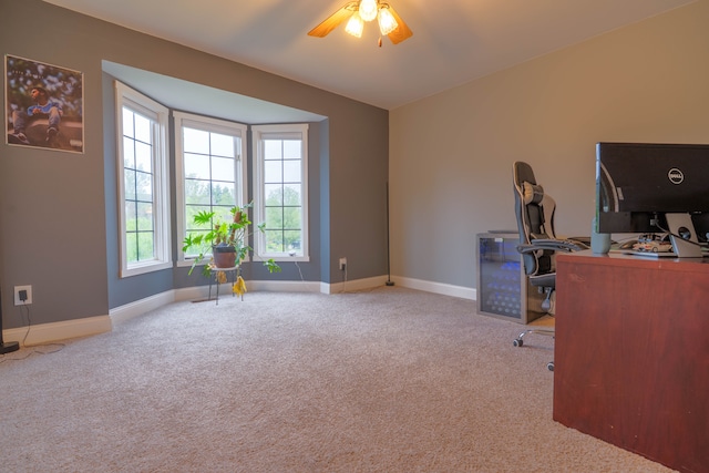 14607 Stratford, Shelby Twp, MI 48315 - office space featuring carpet, plenty of natural light, and baseboards