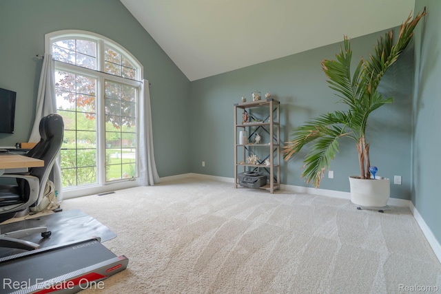 14607 Stratford, Shelby Twp, MI 48315 - carpeted office featuring baseboards and high vaulted ceiling