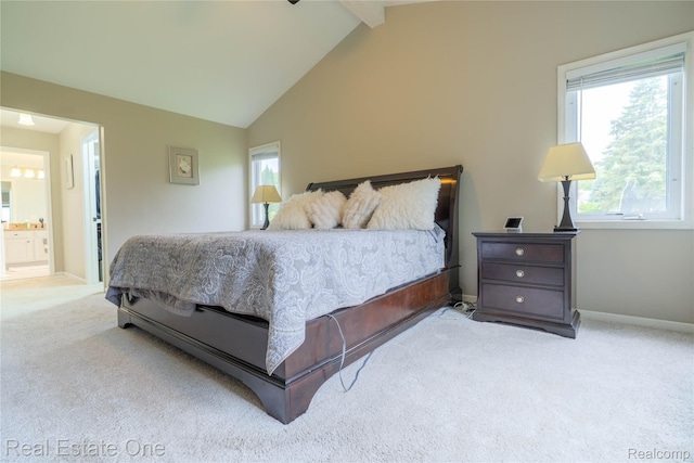 14607 Stratford, Shelby Twp, MI 48315 - bedroom with carpet flooring, multiple windows, baseboards, and ensuite bathroom