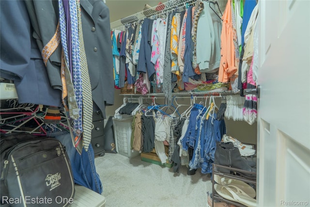 14607 Stratford, Shelby Twp, MI 48315 - spacious closet featuring carpet floors