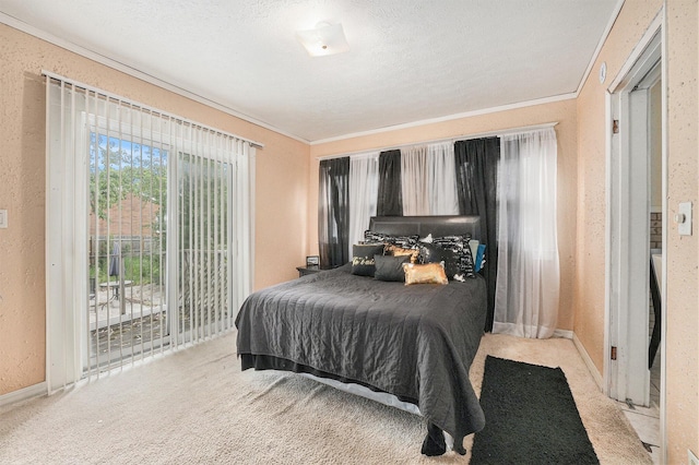 1107 11th St NW, Grand Rapids, MI 49504 - bedroom with carpet floors, ornamental molding, access to exterior, a textured wall, and baseboards
