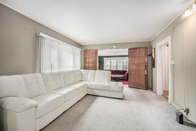 1107 11th St NW, Grand Rapids, MI 49504 - view of carpeted living area