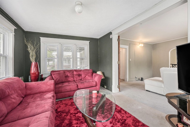 1107 11th St NW, Grand Rapids, MI 49504 - living area featuring carpet floors, crown molding, and baseboards