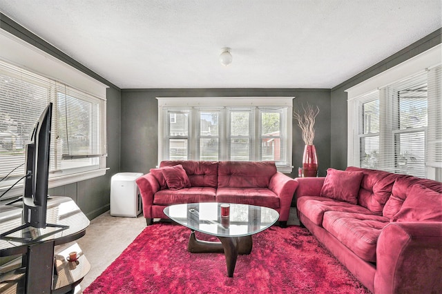 1107 11th St NW, Grand Rapids, MI 49504 - view of carpeted living room