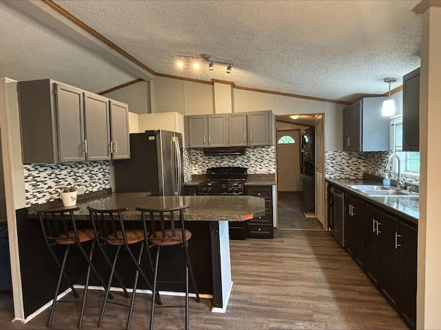 815 Hyatt St, Eaton Rapids, MI 48827 - kitchen featuring stainless steel appliances, a peninsula, a sink, vaulted ceiling, and dark countertops