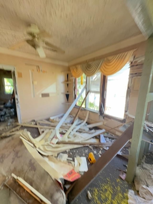 12717 Indiana St, Detroit, MI 48238 - photo 3