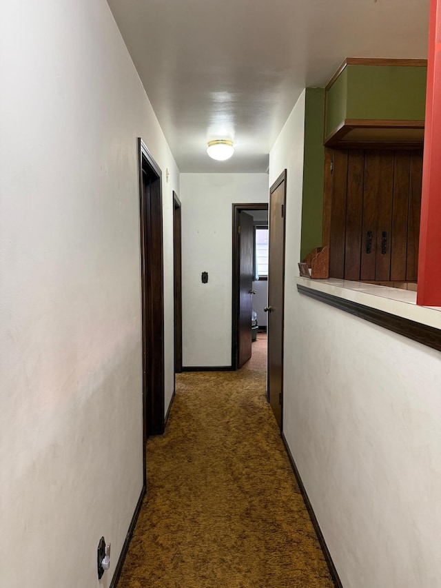 3104 Chippewa Hwy, Manistee, MI 49660 - corridor with carpet