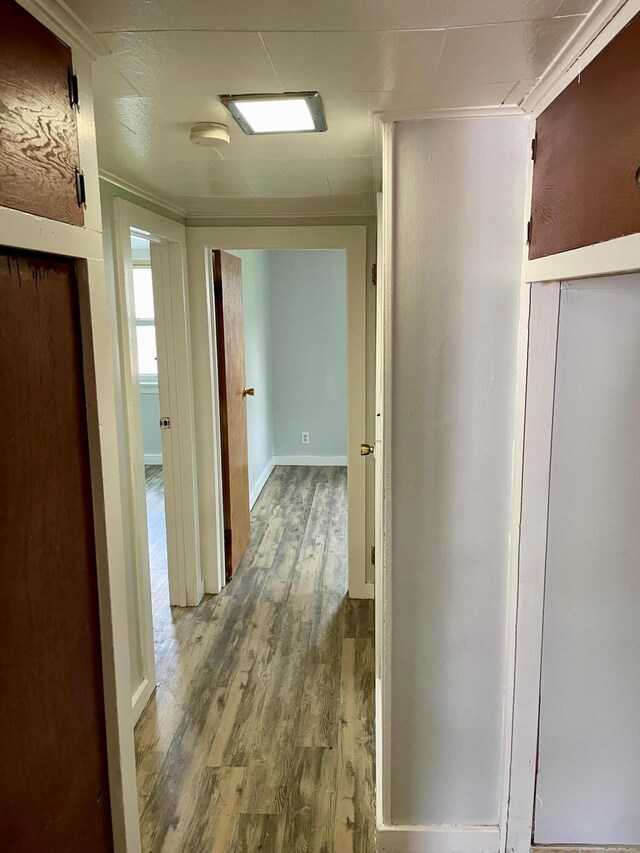 612 N Prospect St, Sturgis, MI 49091 - hall featuring wood finished floors