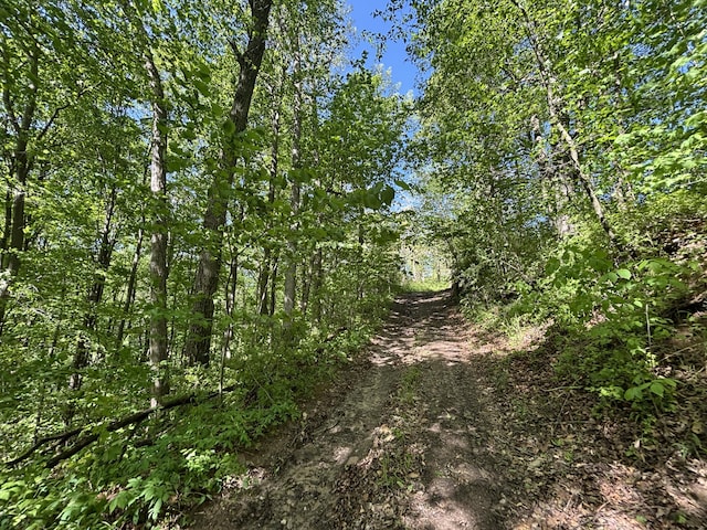 3396 Dagen Rd, Twin Lake, MI 49457 - photo 38