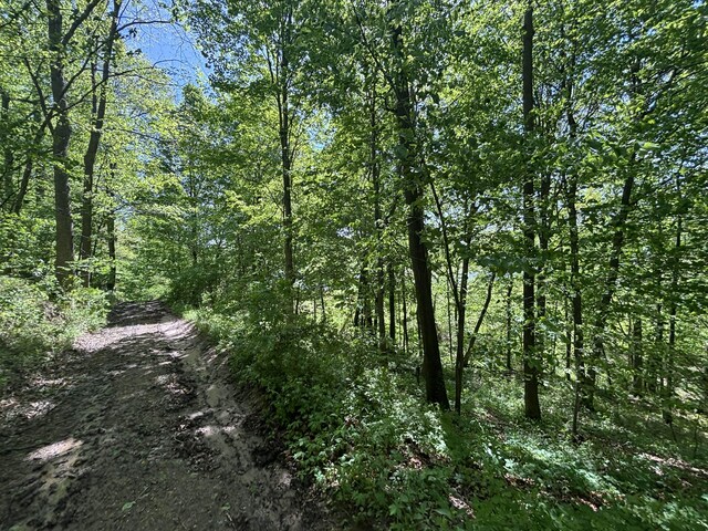 3396 Dagen Rd, Twin Lake, MI 49457 - photo 48