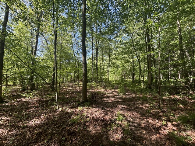 3396 Dagen Rd, Twin Lake, MI 49457 - photo 54