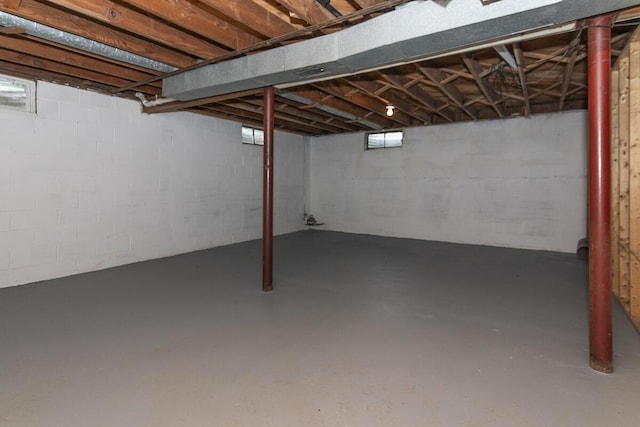 455 N Centre St, Schoolcraft, MI 49087 - view of below grade area