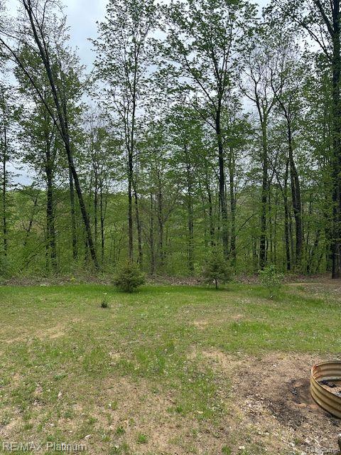 3624 Windy Hollow Rd NW, Rapid City, MI 49676 - view of undeveloped land