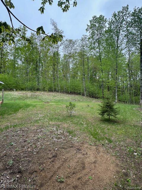3624 Windy Hollow Rd NW, Rapid City, MI 49676 - view of yard