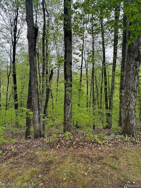 3624 Windy Hollow Rd NW, Rapid City, MI 49676 - view of wooded area