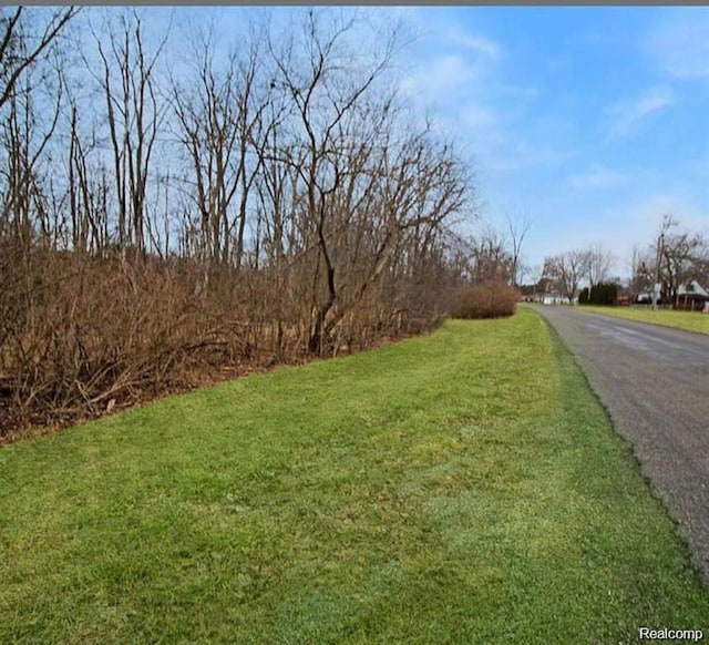 0 Woodruff Rd N, Flat Rock, MI 48134